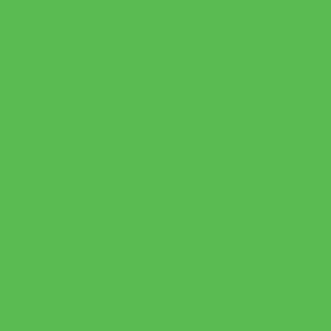 Colorama Colormatt PVC Background 100 x 130cm Spring Green