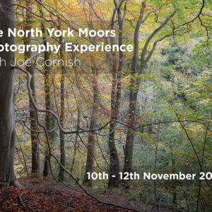 The North York Moors Photography Experience with Joe Cornish