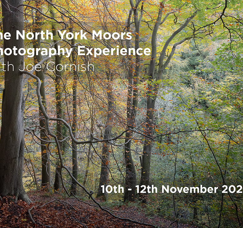 The North York Moors Photography Experience with Joe Cornish