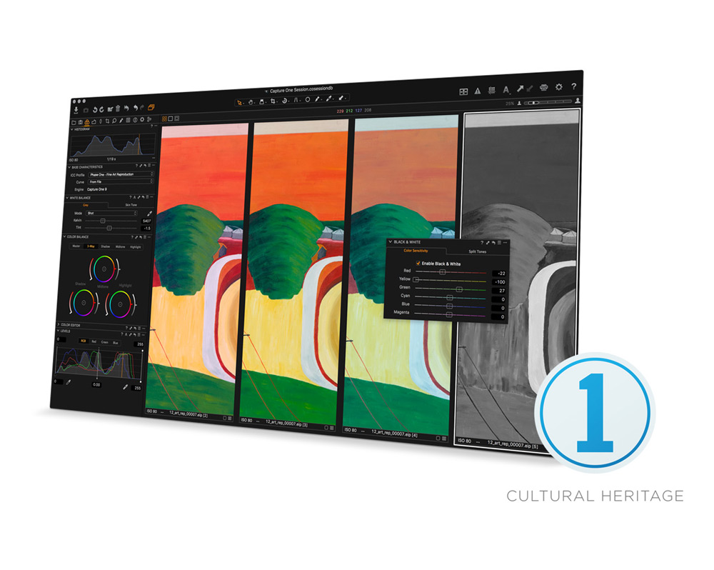 Phase One Cultural Heritage Imaging • UK Partner • DTEK