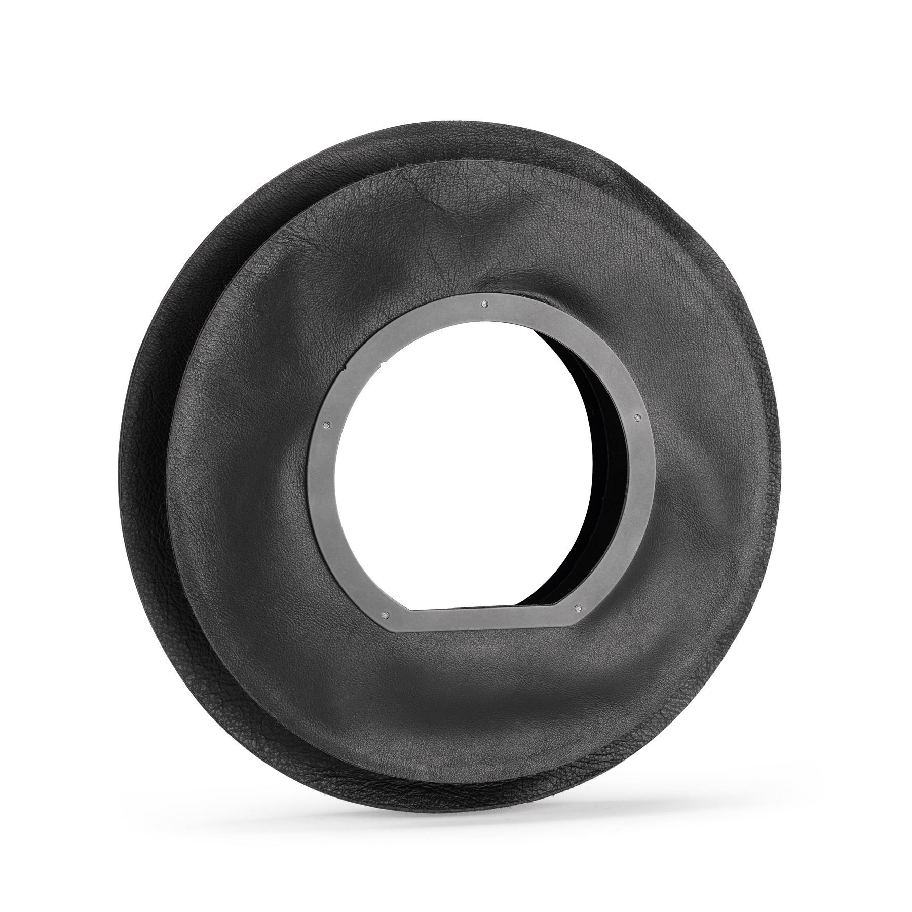 010720 ARCA SWISS Pico Bellow Digital Back detail