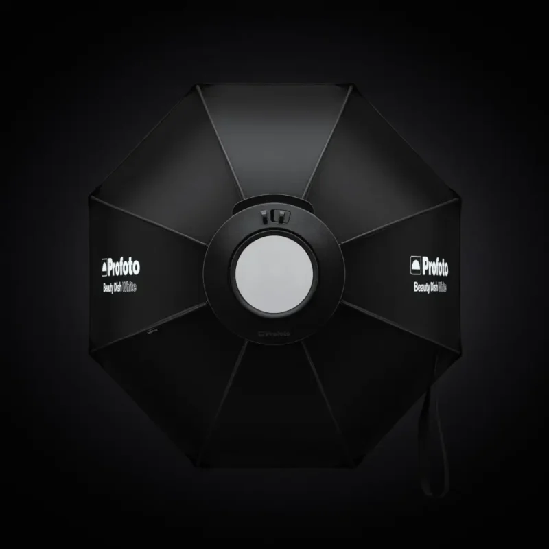 Pegasus Beauty Dish 2